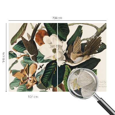 Modernus fototapetas su magnolijos motyvu „Fugle“