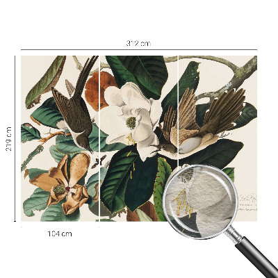 Modernus fototapetas su magnolijos motyvu „Fugle“