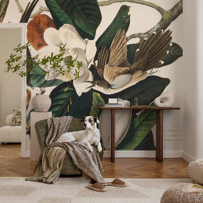 Modernus fototapetas Fugle magnolijė