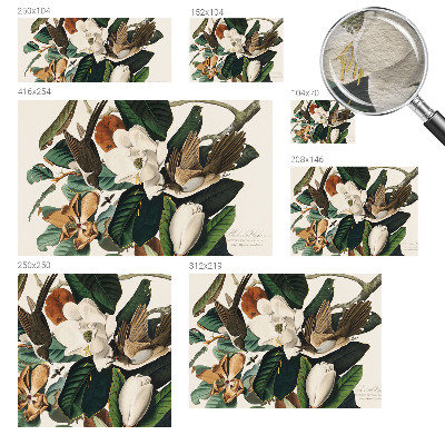 Modernus fototapetas su magnolijos motyvu „Fugle“