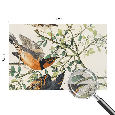 Dekoratyvinis fototapetas Spalvinga fugle