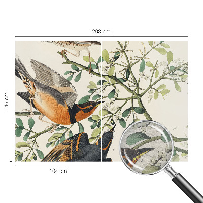 Dekoratyvinis fototapetas Spalvinga fugle