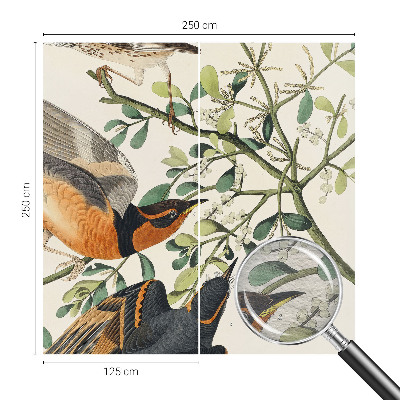 Dekoratyvinis fototapetas Spalvinga fugle