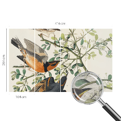 Dekoratyvinis fototapetas Spalvinga fugle