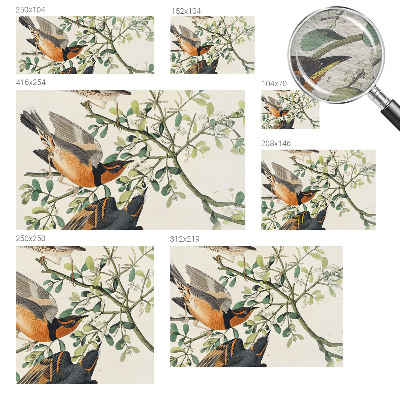 Dekoratyvinis fototapetas Spalvinga fugle