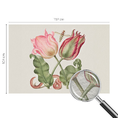 Flizelininis fototapetas Tulpė skėčiai