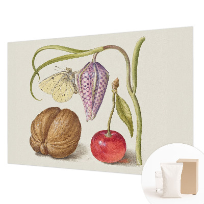 Fototapetas ant sienos Vasarinės fuglės plantacija