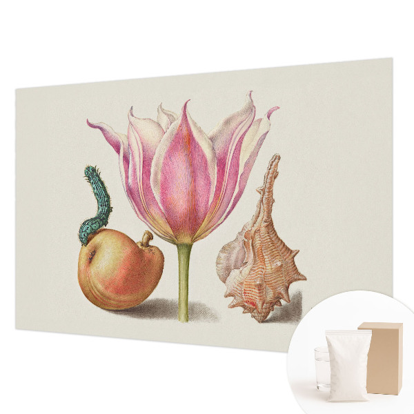 Fototapetas pagal matmenis Natūrali simbiozė