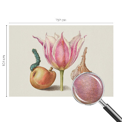 Fototapetas pagal matmenis Natūrali simbiozė