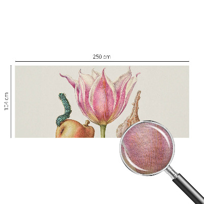 Fototapetas pagal matmenis Natūrali simbiozė