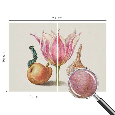 Fototapetas pagal matmenis Natūrali simbiozė