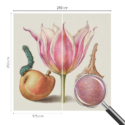 Fototapetas pagal matmenis Natūrali simbiozė