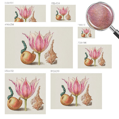 Fototapetas pagal matmenis Natūrali simbiozė