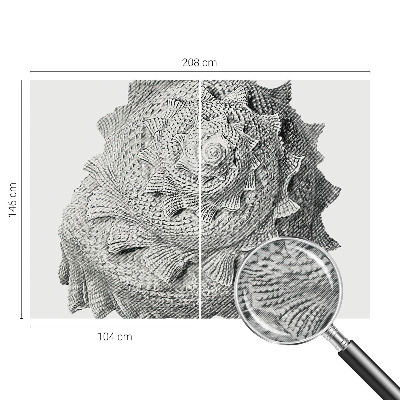 Sienų danga fototapetas Gamtos menas