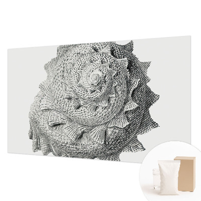 Sienų danga fototapetas Gamtos menas