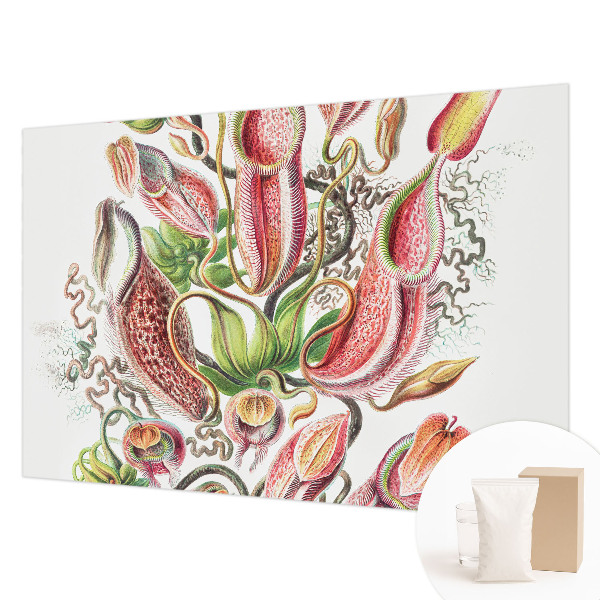 Fototapetas Augalų detalės