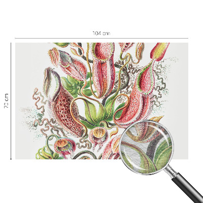 Fototapetas Augalų detalės