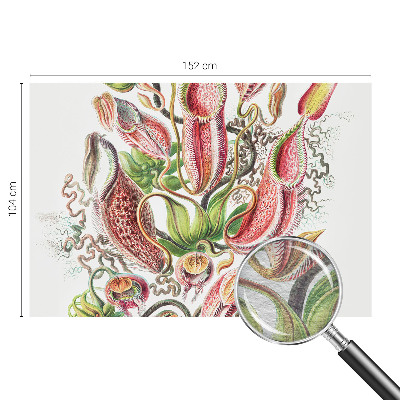 Fototapetas Augalų detalės