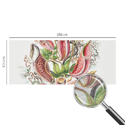 Fototapetas Augalų detalės