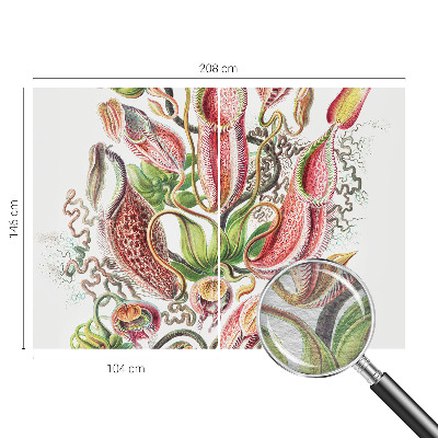 Fototapetas Augalų detalės