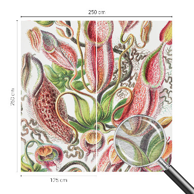 Fototapetas Augalų detalės