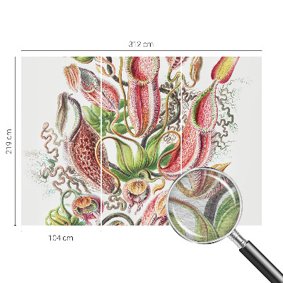 Fototapetas Augalų detalės