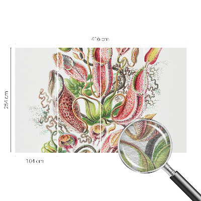 Fototapetas Augalų detalės