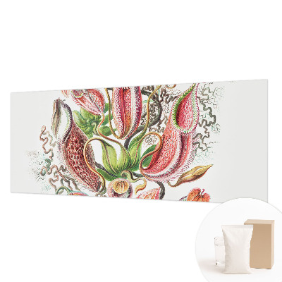 Fototapetas Augalų detalės