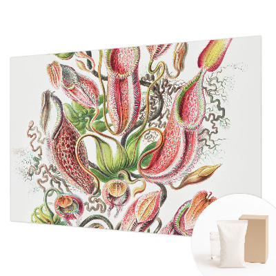 Fototapetas Augalų detalės