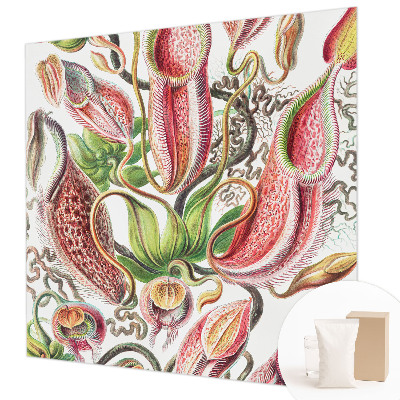 Fototapetas Augalų detalės