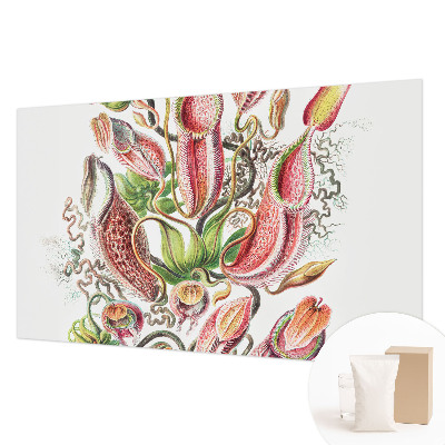 Fototapetas Augalų detalės