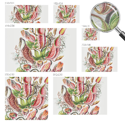 Fototapetas Augalų detalės