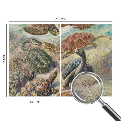 Plaunamas flizelininis fototapetas Skildpaddefauna