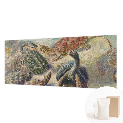 Plaunamas flizelininis fototapetas Skildpaddefauna