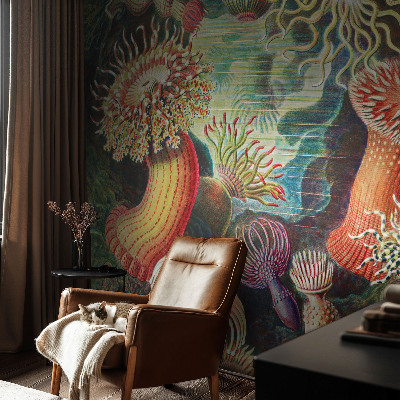 Fototapetas ant sienos Išgalvotas anemonas