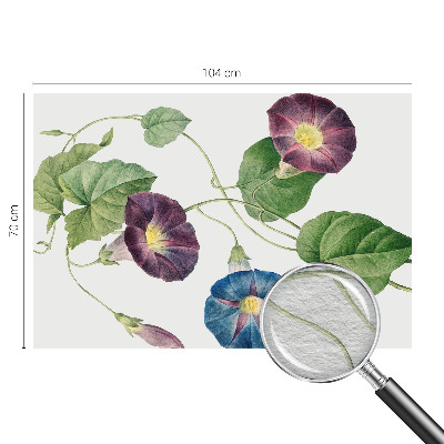 Fototapetas flizelino pagrindu su floristine elegancija