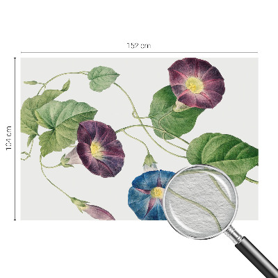 Fototapetas flizelino pagrindu su floristine elegancija