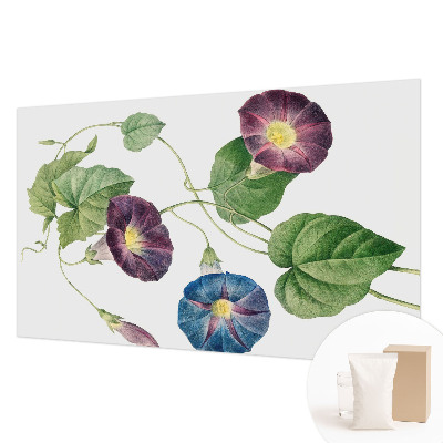 Fototapetas flizelino pagrindu Floristinė elegancija