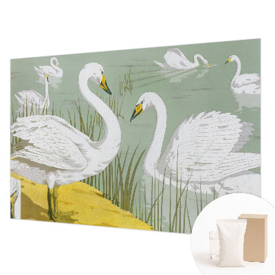 Fototapetas pagal užsakymą Svanesøen