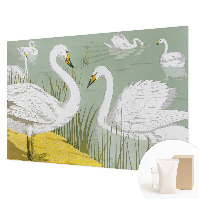 Fototapetas pagal užsakymą Svanesøen