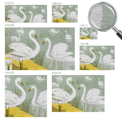 Fototapetas pagal užsakymą Svanesøen