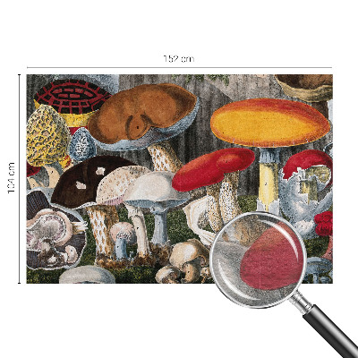 Sienų danga fototapetas Botanikos pelkė