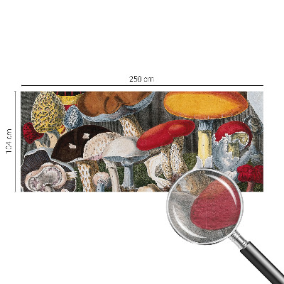 Sienų danga fototapetas Botanikos pelkė