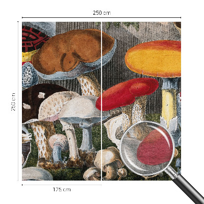 Sienų danga fototapetas Botanikos pelkė