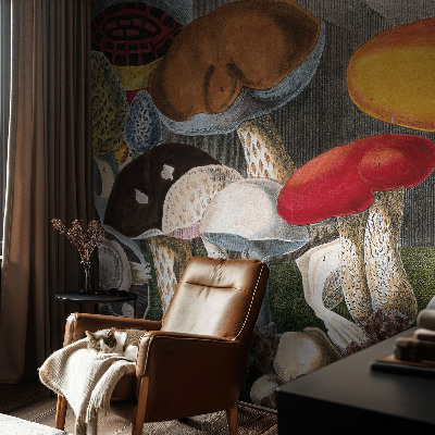 Sienų danga fototapetas Botanikos pelkė