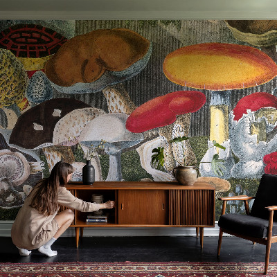 Sienų danga fototapetas Botanikos pelkė