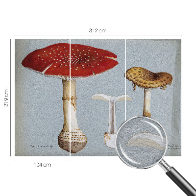 Flizelininis fototapetas su grybų rašymo motyvais