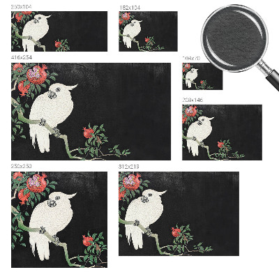 Fototapetas miegamajam Granatæble papegøje