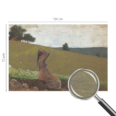 Stilingas fototapetas su ramaus siužeto motyvu