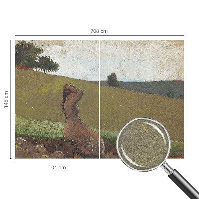 Stilingas fototapetas su ramaus siužeto motyvu